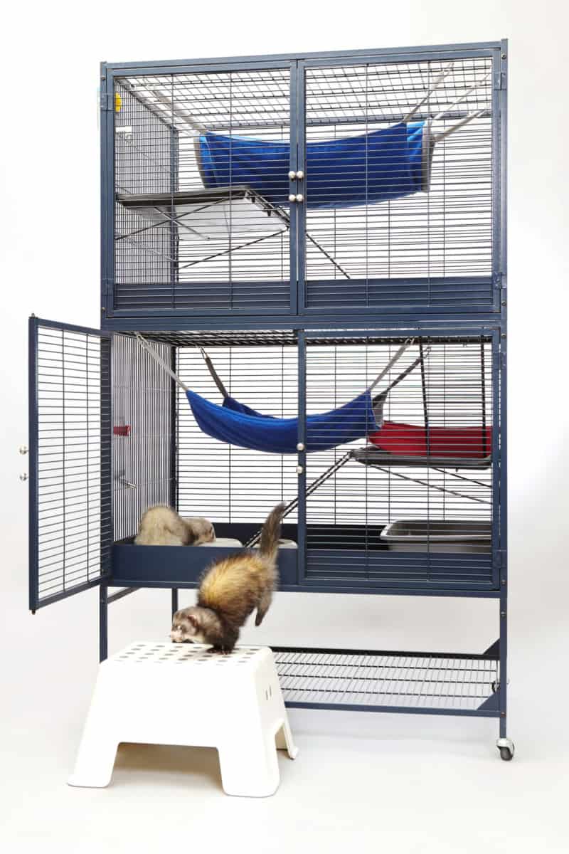 12 Best Cages for Ferrets [2020]