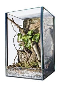 12 Best Tarantula Enclosures (2023 Update) - The Pet Savvy