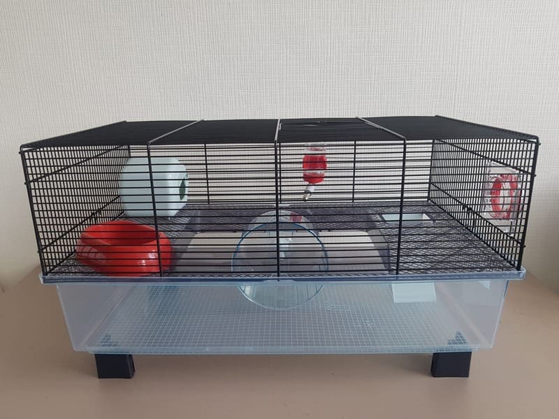 Favola Cage Review [TRIED & TESTED] Pet Savvy
