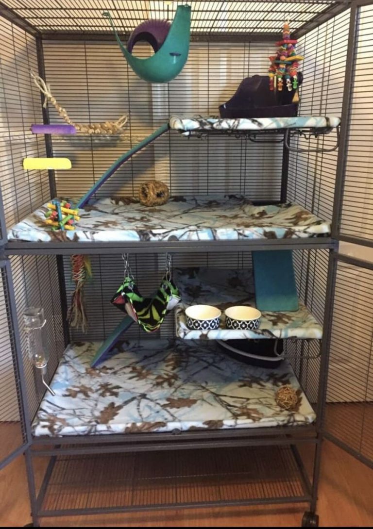 6 Rat Breeders Show Us How They Set Up Their Rat Cages - The Pet Savvy